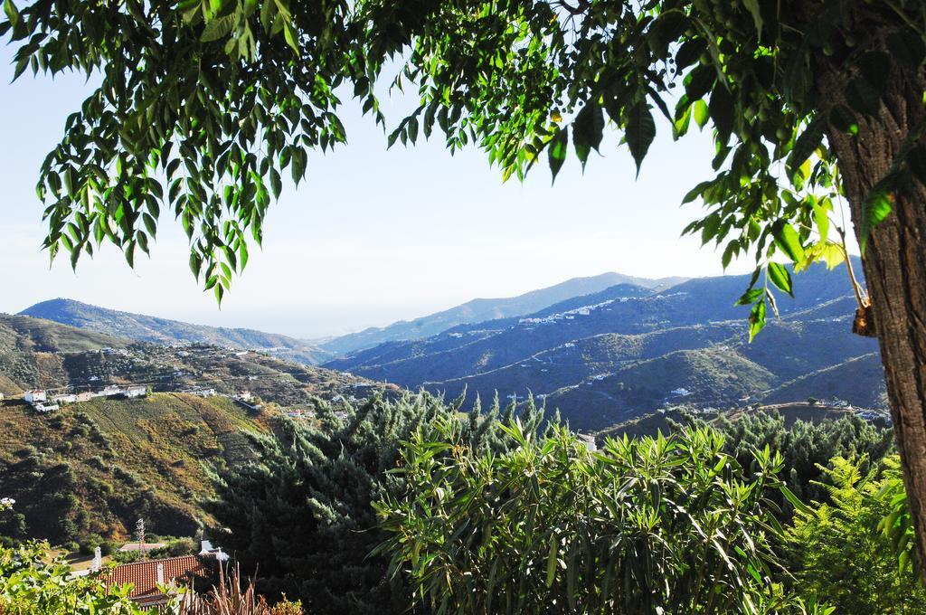 Villa Andalucia 콤페타 외부 사진