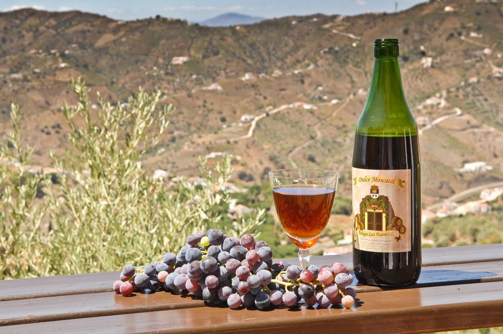 Villa Andalucia 콤페타 외부 사진