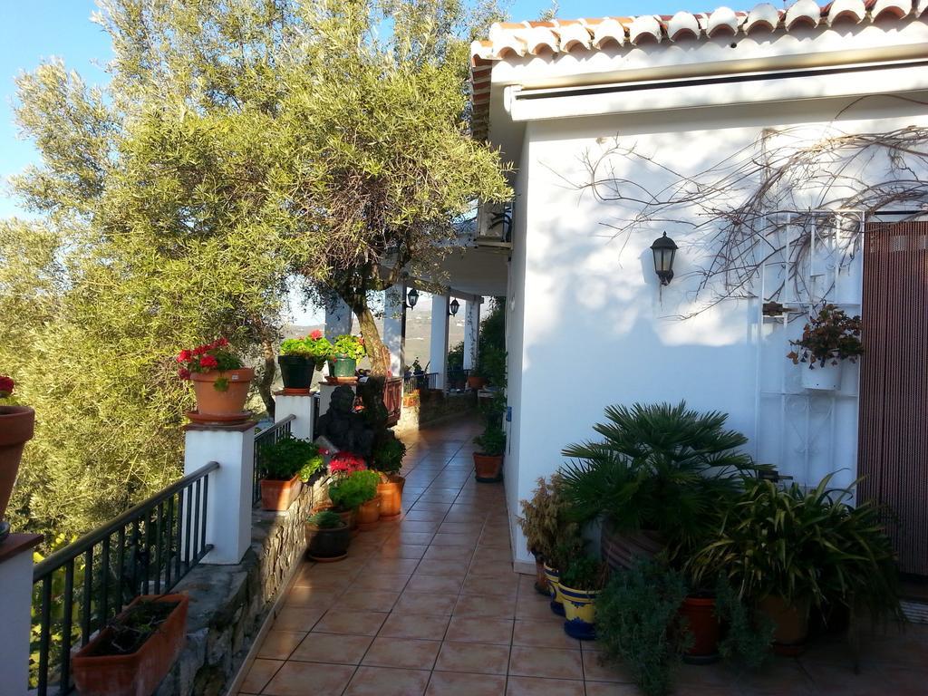 Villa Andalucia 콤페타 객실 사진